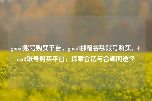 gmail账号购买平台，gmail邮箱谷歌账号购买，Gmail账号购买平台，探索合法与合规的途径