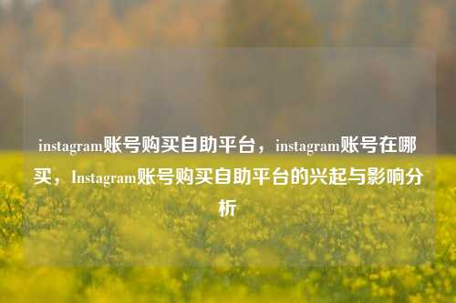 instagram账号购买自助平台	，instagram账号在哪买，Instagram账号购买自助平台的兴起与影响分析  第1张