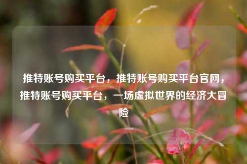 推特账号购买平台，推特账号购买平台官网，推特账号购买平台，一场虚拟世界的经济大冒险