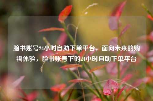 脸书账号24小时自助下单平台，面向未来的购物体验，脸书账号下的24小时自助下单平台