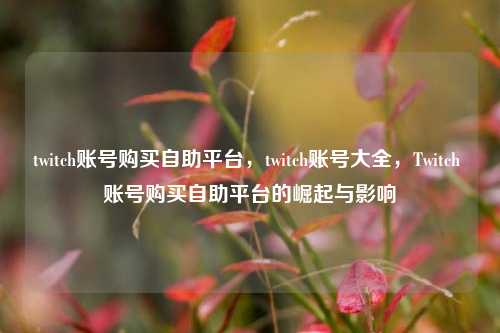 twitch账号购买自助平台，twitch账号大全，Twitch 账号购买自助平台的崛起与影响