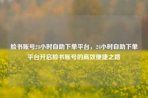 脸书账号24小时自助下单平台，24小时自助下单平台开启脸书账号的高效便捷之路