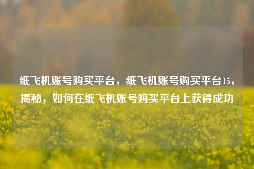 纸飞机账号购买平台，纸飞机账号购买平台15，揭秘，如何在纸飞机账号购买平台上获得成功
