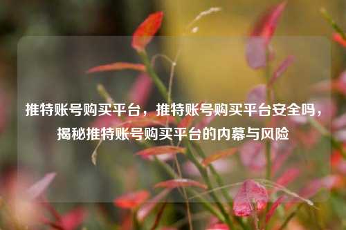 推特账号购买平台，推特账号购买平台安全吗，揭秘推特账号购买平台的内幕与风险