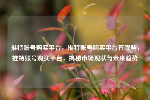 推特账号购买平台，推特账号购买平台有哪些，推特账号购买平台，揭秘市场现状与未来趋势