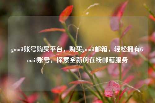 gmail账号购买平台，购买gmail邮箱，轻松拥有Gmail账号，探索全新的在线邮箱服务