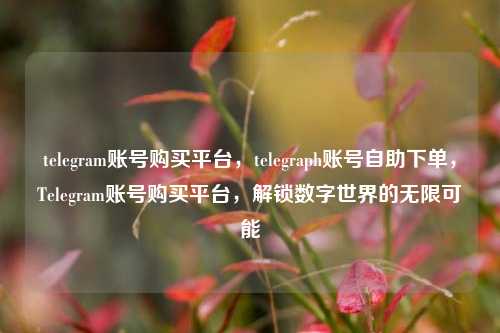 telegram账号购买平台，telegraph账号自助下单，Telegram账号购买平台，解锁数字世界的无限可能
