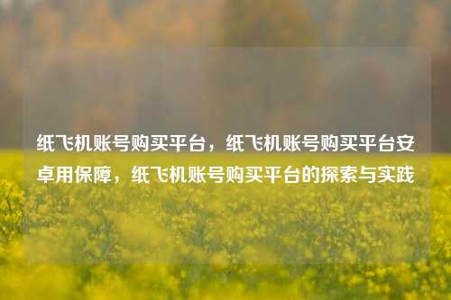 纸飞机账号购买平台，纸飞机账号购买平台安卓用保障，纸飞机账号购买平台的探索与实践