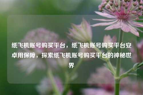 纸飞机账号购买平台，纸飞机账号购买平台安卓用保障，探索纸飞机账号购买平台的神秘世界