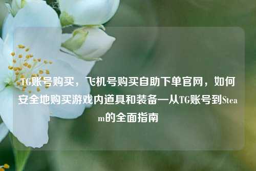 TG账号购买，飞机号购买自助下单官网，如何安全地购买游戏内道具和装备—从TG账号到Steam的全面指南