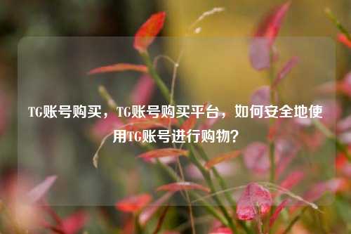 TG账号购买，TG账号购买平台，如何安全地使用TG账号进行购物？