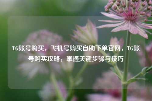 TG账号购买，飞机号购买自助下单官网，TG账号购买攻略，掌握关键步骤与技巧