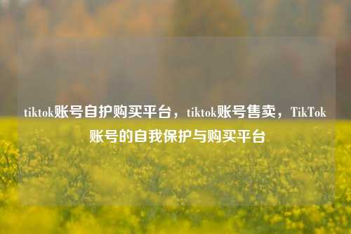 tiktok账号自护购买平台，tiktok账号售卖，TikTok 账号的自我保护与购买平台