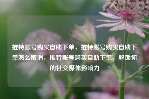 推特账号购买自助下单，推特账号购买自助下单怎么取消，推特账号购买自助下单，解锁你的社交媒体影响力
