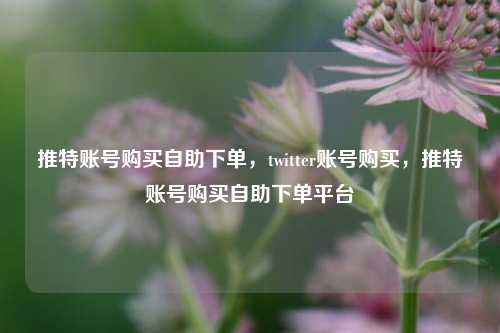 推特账号购买自助下单，twitter账号购买，推特账号购买自助下单平台