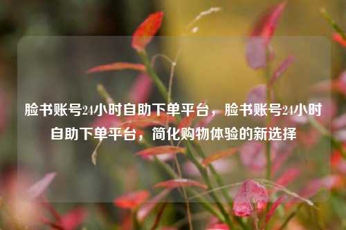 脸书账号24小时自助下单平台，脸书账号24小时自助下单平台，简化购物体验的新选择