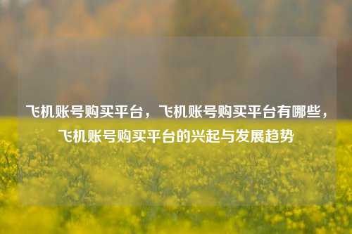 飞机账号购买平台，飞机账号购买平台有哪些，飞机账号购买平台的兴起与发展趋势