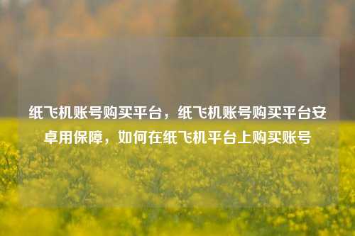 纸飞机账号购买平台，纸飞机账号购买平台安卓用保障，如何在纸飞机平台上购买账号