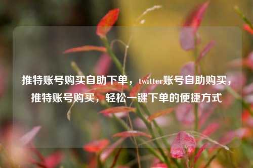 推特账号购买自助下单，twitter账号自助购买，推特账号购买，轻松一键下单的便捷方式