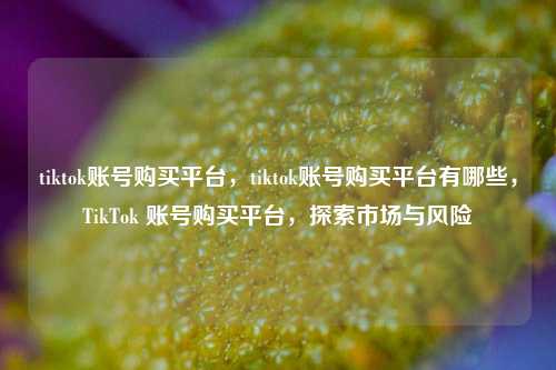 tiktok账号购买平台，tiktok账号购买平台有哪些，TikTok 账号购买平台，探索市场与风险