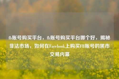 fb账号购买平台，fb账号购买平台哪个好，揭秘非法市场，如何在Facebook上购买FB账号的黑市交易内幕
