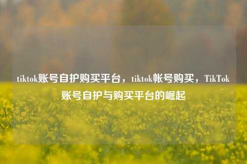 tiktok账号自护购买平台，tiktok帐号购买，TikTok账号自护与购买平台的崛起