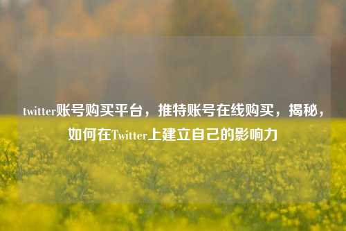 twitter账号购买平台，推特账号在线购买，揭秘，如何在Twitter上建立自己的影响力