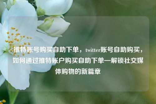 推特账号购买自助下单，twitter账号自助购买，如何通过推特账户购买自助下单—解锁社交媒体购物的新篇章