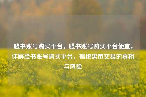 脸书账号购买平台，脸书账号购买平台便宜，详解脸书账号购买平台，揭秘黑市交易的真相与风险