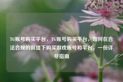 TG账号购买平台，TG账号购买平台，如何在合法合规的前提下购买游戏账号和平台，一份详尽指南