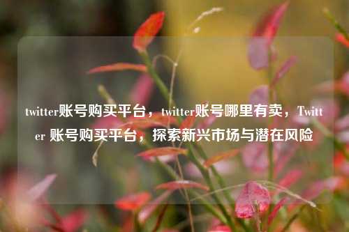 twitter账号购买平台，twitter账号哪里有卖，Twitter 账号购买平台，探索新兴市场与潜在风险