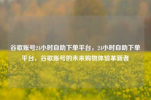 谷歌账号24小时自助下单平台，24小时自助下单平台，谷歌账号的未来购物体验革新者