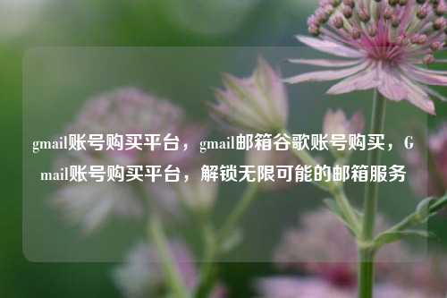 gmail账号购买平台，gmail邮箱谷歌账号购买，Gmail账号购买平台，解锁无限可能的邮箱服务