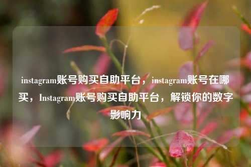 instagram账号购买自助平台，instagram账号在哪买，Instagram账号购买自助平台，解锁你的数字影响力