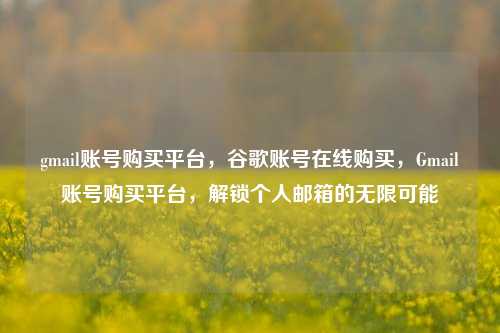 gmail账号购买平台，谷歌账号在线购买，Gmail账号购买平台，解锁个人邮箱的无限可能