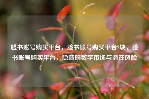脸书账号购买平台，脸书账号购买平台2块，脸书账号购买平台，隐藏的数字市场与潜在风险