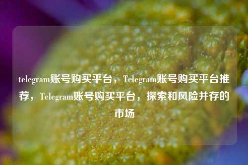 telegram账号购买平台，Telegram账号购买平台推荐，Telegram账号购买平台，探索和风险并存的市场