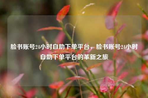 脸书账号24小时自助下单平台，脸书账号24小时自助下单平台的革新之旅