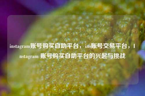 instagram账号购买自助平台，ins账号交易平台，Instagram 账号购买自助平台的兴起与挑战