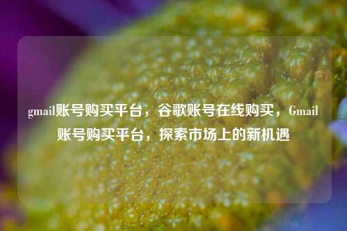 gmail账号购买平台，谷歌账号在线购买，Gmail账号购买平台，探索市场上的新机遇