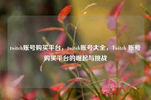 twitch账号购买平台，twitch账号大全，Twitch 账号购买平台的崛起与挑战