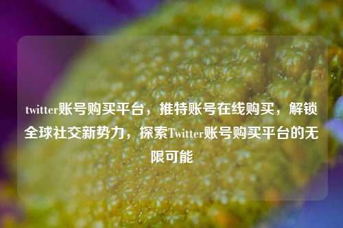 twitter账号购买平台，推特账号在线购买，解锁全球社交新势力，探索Twitter账号购买平台的无限可能