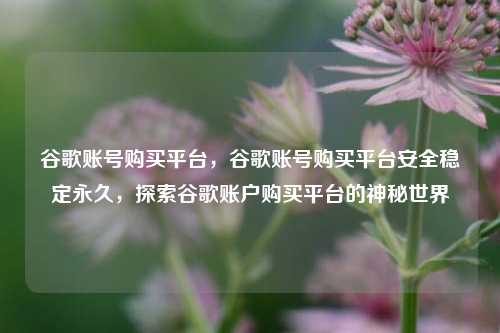 谷歌账号购买平台，谷歌账号购买平台安全稳定永久，探索谷歌账户购买平台的神秘世界