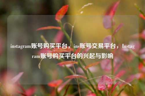 instagram账号购买平台，ins账号交易平台，Instagram账号购买平台的兴起与影响