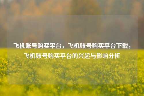飞机账号购买平台，飞机账号购买平台下载，飞机账号购买平台的兴起与影响分析