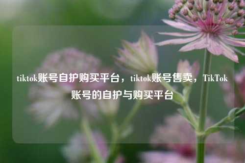 tiktok账号自护购买平台，tiktok账号售卖，TikTok账号的自护与购买平台