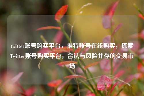 twitter账号购买平台，推特账号在线购买，探索Twitter账号购买平台，合法与风险并存的交易市场
