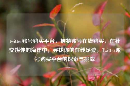 twitter账号购买平台，推特账号在线购买，在社交媒体的海洋中，寻找你的在线足迹，Twitter账号购买平台的探索与挑战