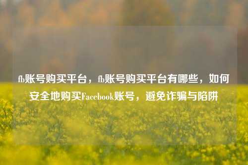 fb账号购买平台，fb账号购买平台有哪些，如何安全地购买Facebook账号，避免诈骗与陷阱