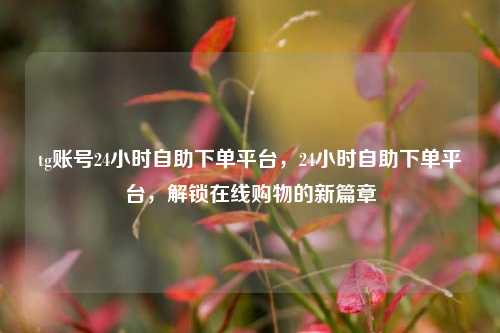 tg账号24小时自助下单平台，24小时自助下单平台，解锁在线购物的新篇章
